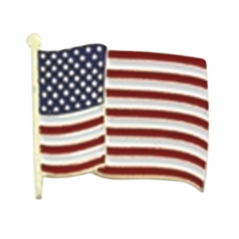 U.S. Wavy Flag Pin | Gold